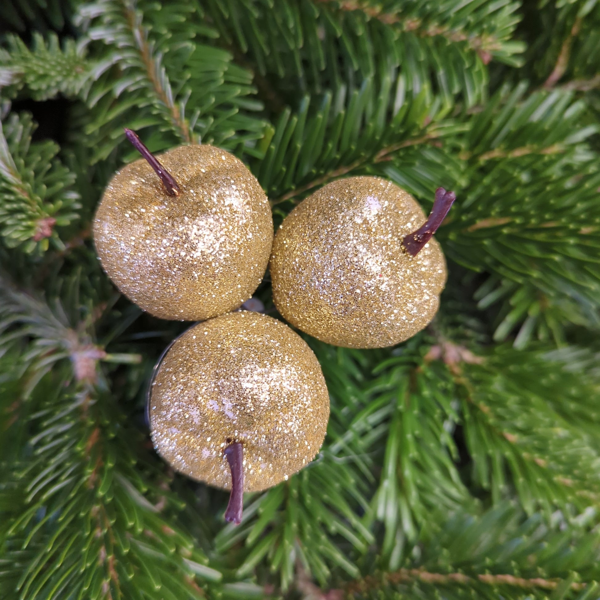 Sparkle Gold Apples | Decorative Plant Pot Accessory