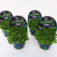 Shamrock | Green