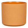 Mondo Pot | Yellow Stone