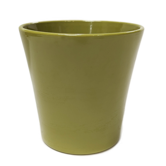 Dark Lime Exotica Pot | Pots & Planters