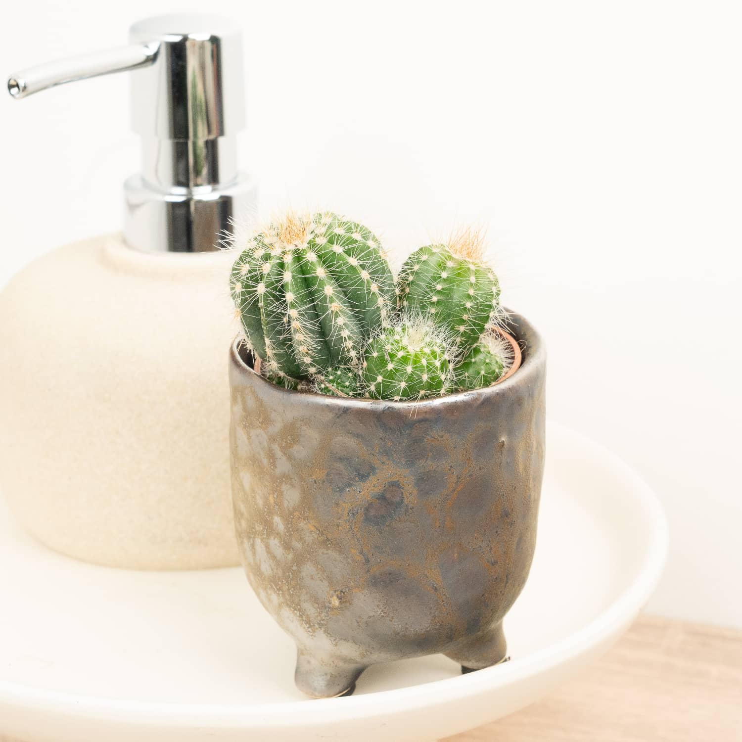 Balloon Cactus