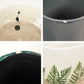 Imperfect! Como Pot | Mint
