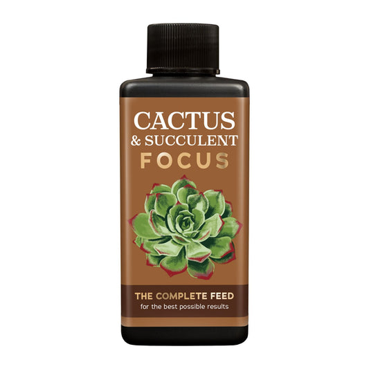 Cactus & Succulent Focus  - Plant Food | Fertilizers