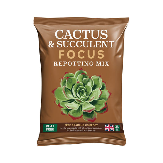 Cacti & Succulent Focus Repotting Mix Peat Free | Compost