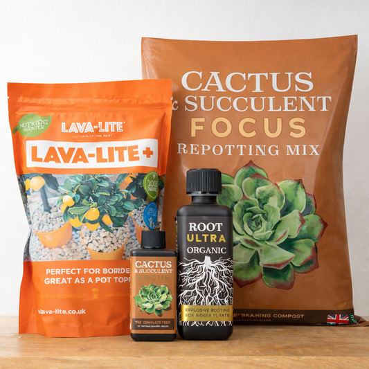Cacti & Succulent Care Bundle | 
