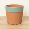 A superb terracotta Cottage Garden Pot with a blue outer rim - perfect for combining with all sorts of houseplants for a decorative flourish!