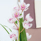 Cymbidium Orchid | Pink Surprise