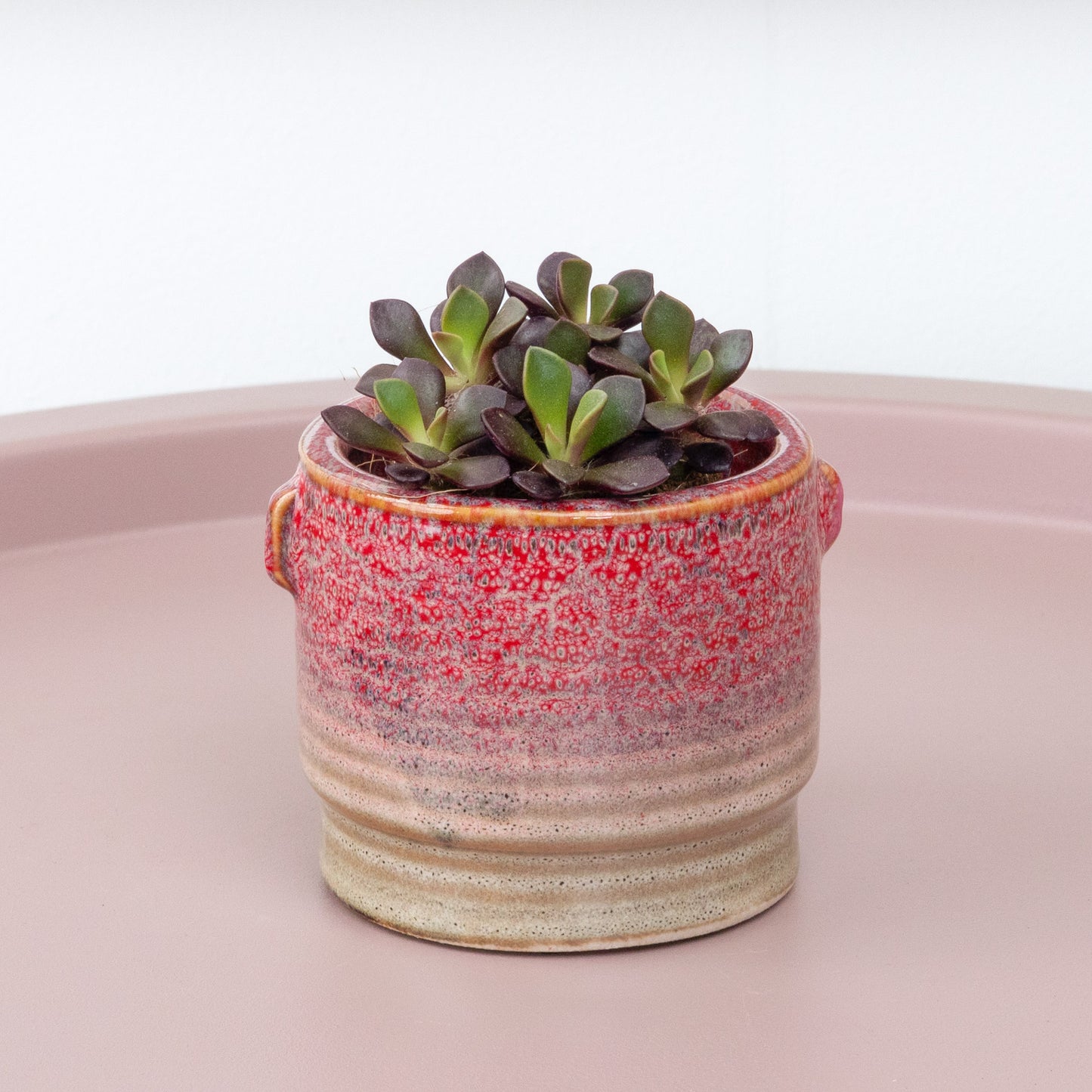 Sand Rose | Red Sun