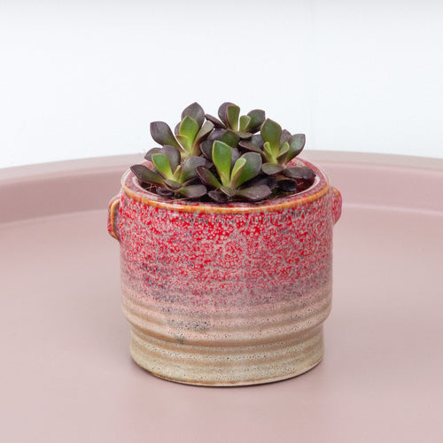 Sand Rose | Red Sun