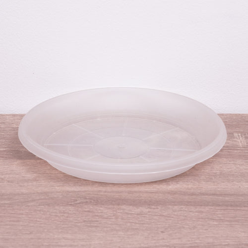 Orchid Saucer | Transparent