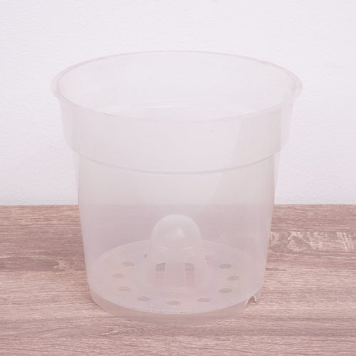 Orchid Pot | Transparent