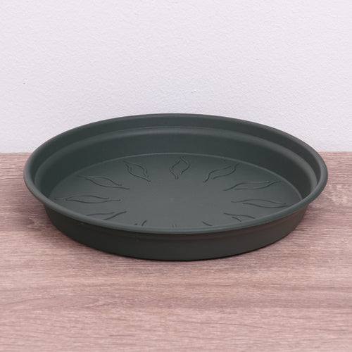 Round Saucer | Green