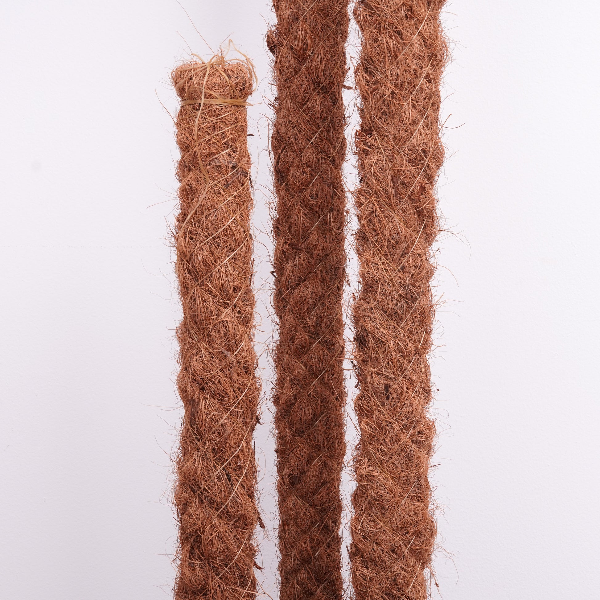 Coir Pole - Plant Support Pole