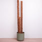 Coir Pole - Plant Support Pole