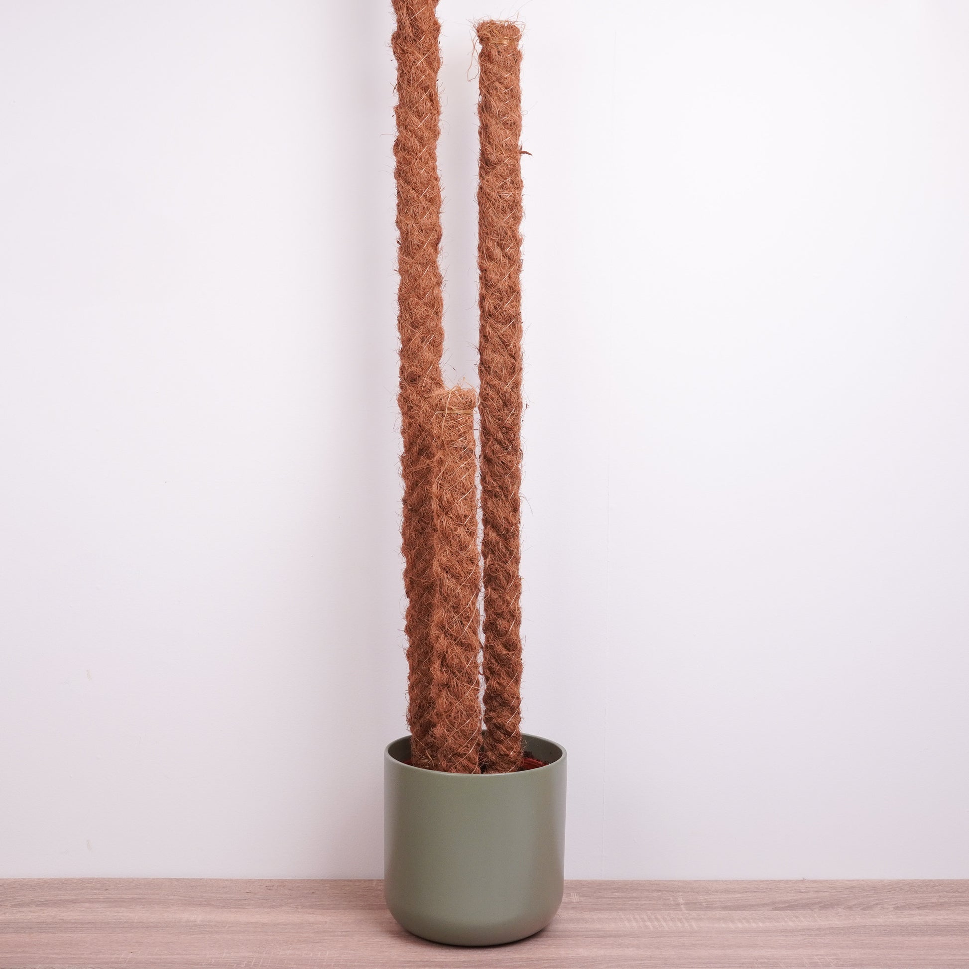 moss pole uk Coir Pole