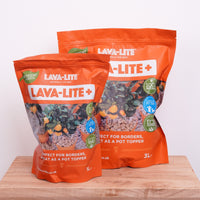 LAVA-LITE+ | Fungus Gnat Pest Control