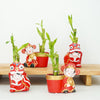 Lucky Bamboo | Chinese New Year