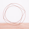 Plant Support Ring | Wire Ring 10''