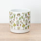 Botanical Pot