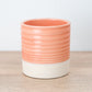 Vitae Pot | Peach