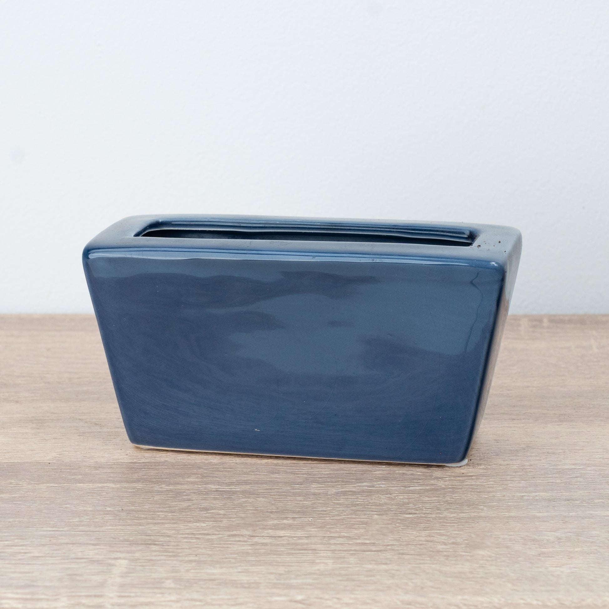Lucky Bamboo Slim Ceramic Pot | Blue