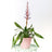 Perfect Plants for Under £30