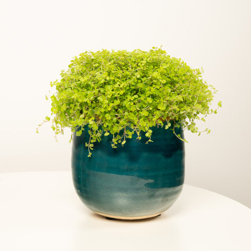 Mind Your Own Business