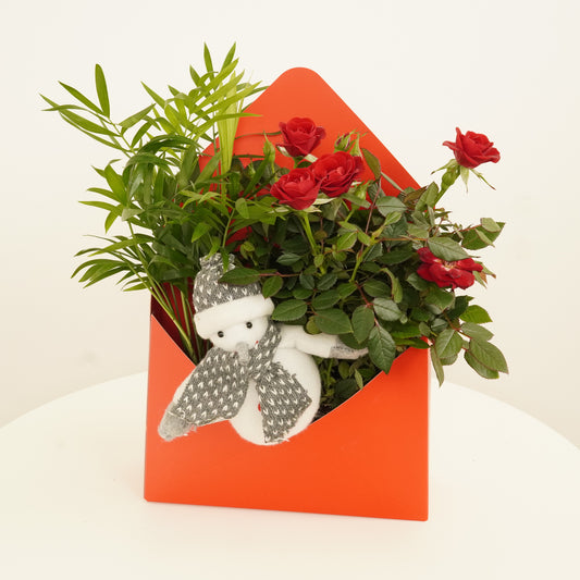 Flowering Rose & Parlour Palm | Envelope Giftbox | Garden & Outdoor Plants