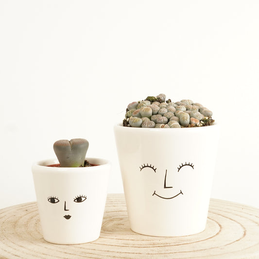 Living Stones | Cyber Monday