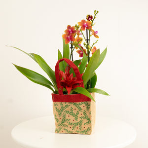 Tropical | Hessian Giftbag - Indoor Plant