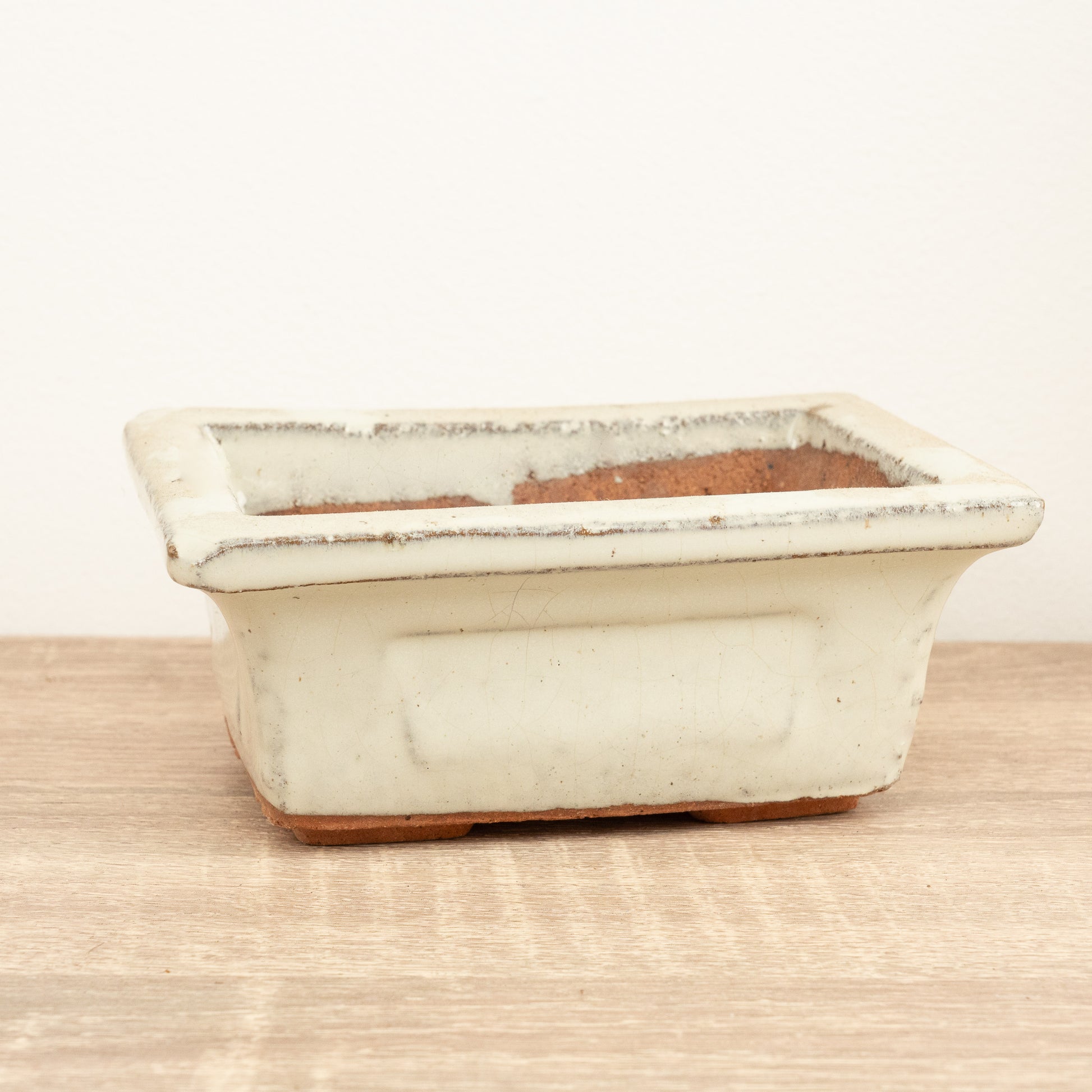 Bonsai Ceramic Pot | Ivory