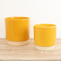 Eno Pot | Mustard - Ceramic Plant Pot