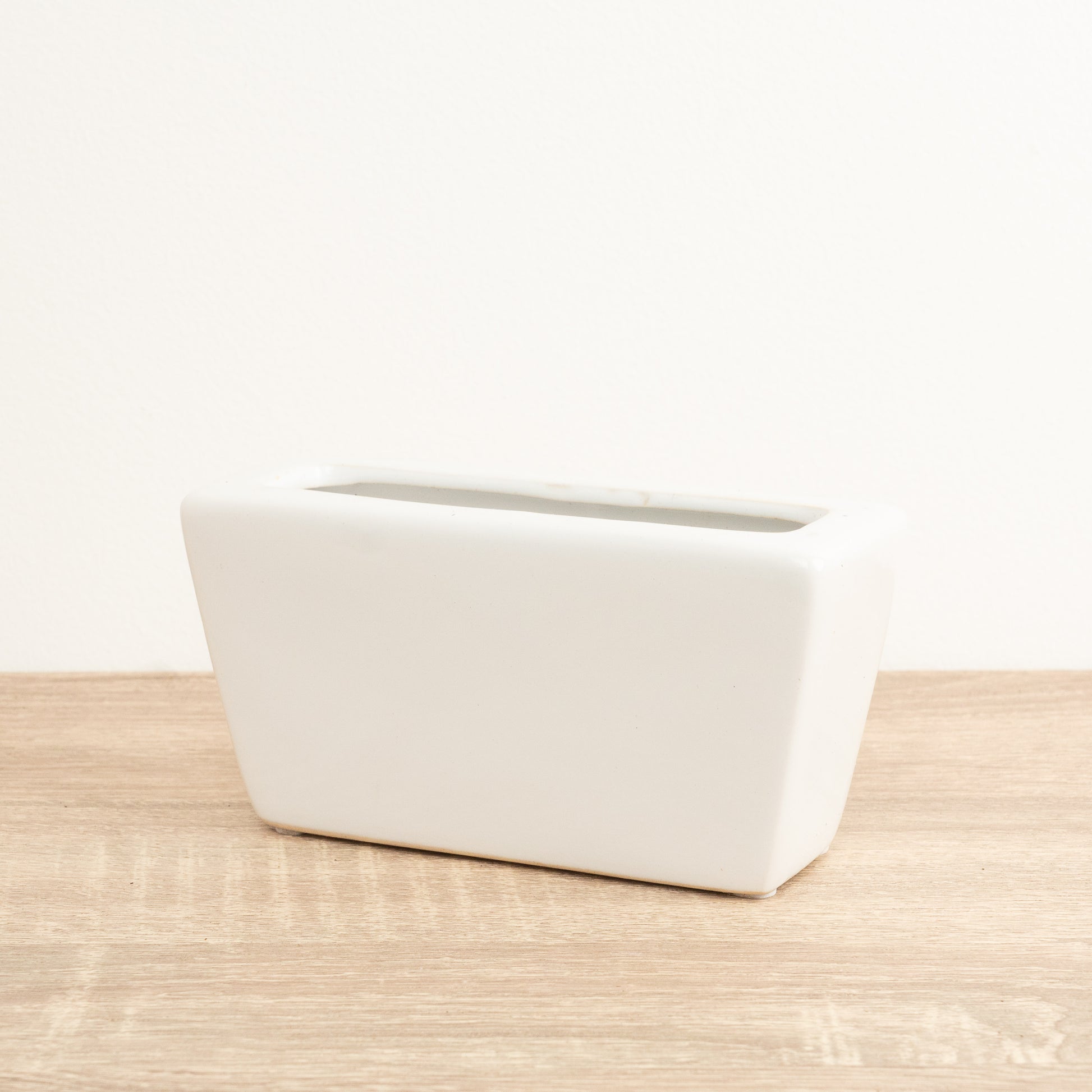 Lucky Bamboo Slim Ceramic Pot | White