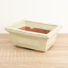 Bonsai Ceramic Pot | Ivory