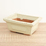 Bonsai Ceramic Pot | Ivory, 12 cm