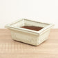 Bonsai Ceramic Pot | Ivory