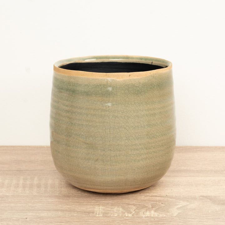 Como Pot | Mint