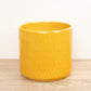 Arley Pot | Bee