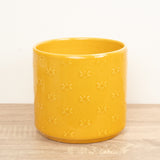 Arley Pot | Bee, 12 cm