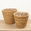 Seagrass Straw Pot | Natural
