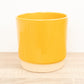 Eno Pot | Mustard