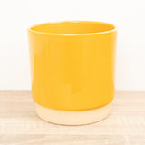 Eno Pot | Mustard, 12 cm
