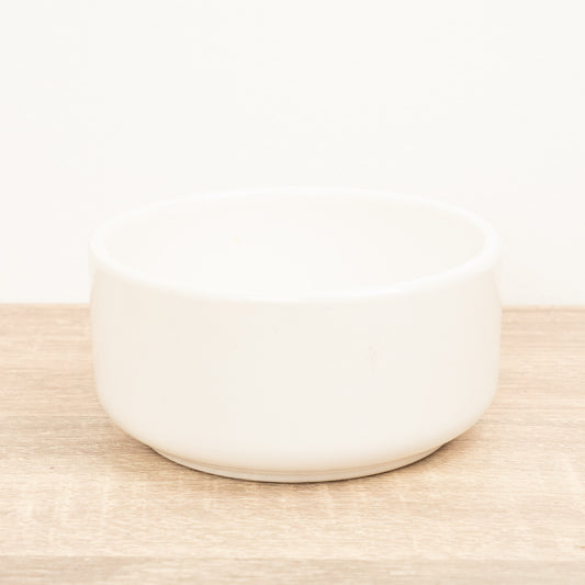 Lucky Bamboo Ceramic Bowl | White | Pots & Planters