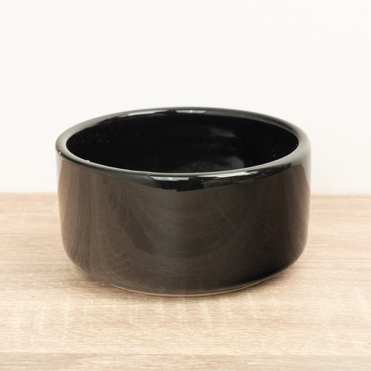 Lucky Bamboo Ceramic Bowl | Black | Pots & Planters