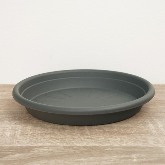 Round Saucer | Graphite | Pots & Planters