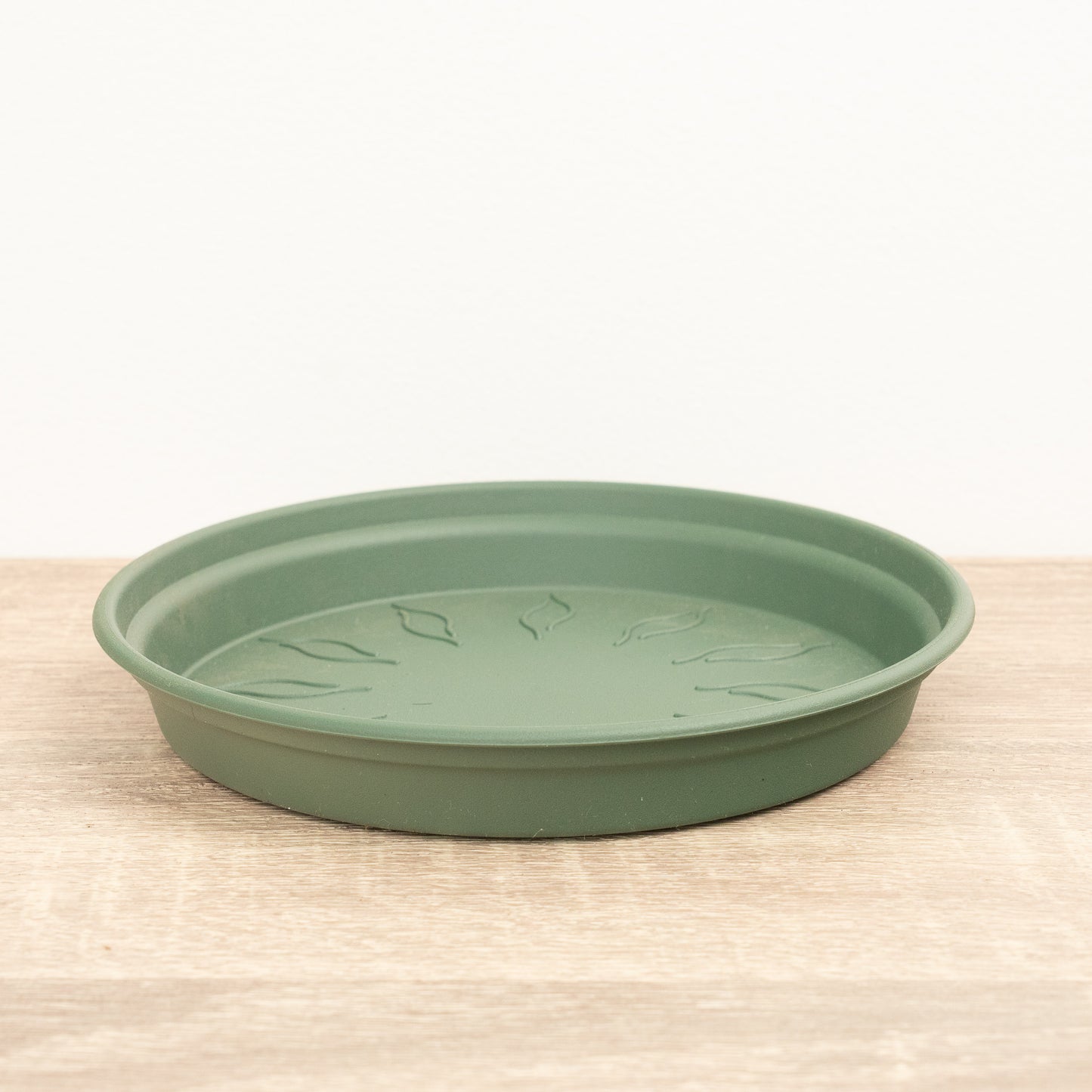 Round Saucer | Green