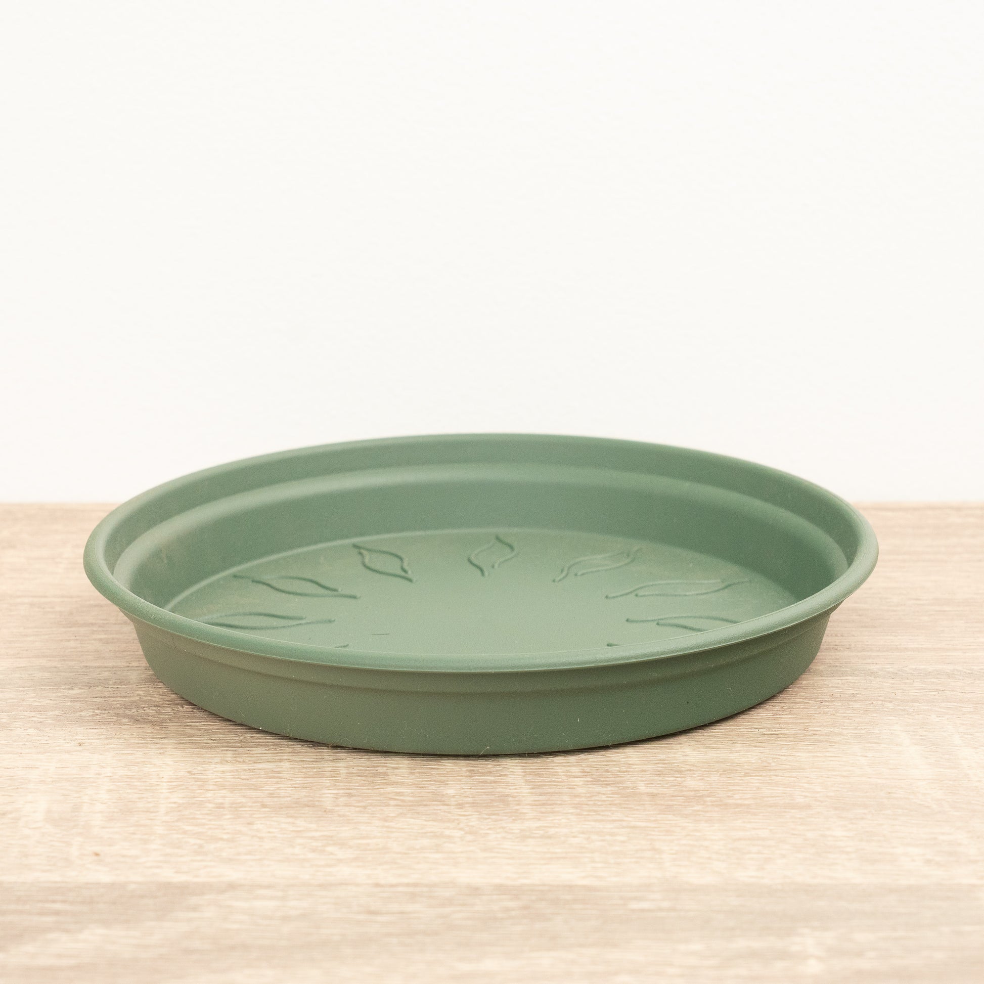 Round Saucer | Green