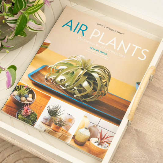 Air Plants: The Curious World of Tillandsias by Zenaida Sengo | Books