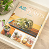 Air Plants: The Curious World of Tillandsias by Zenaida Sengo