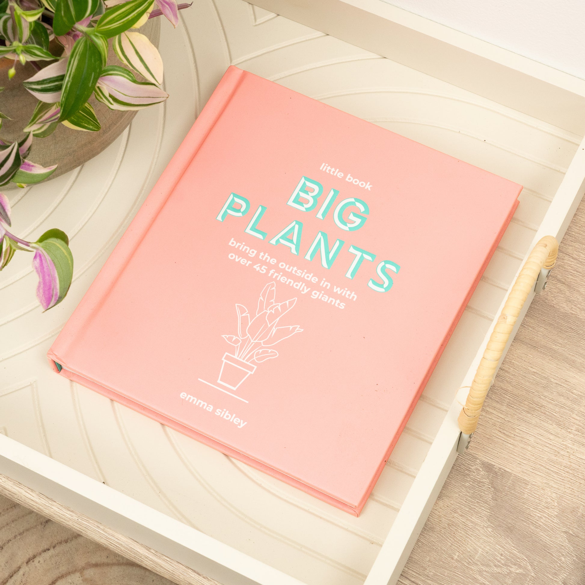 Little Book, Big Plants - Bring The Outside in with Over 45 Friendly Giants by Emma Sibley